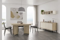 Composición Salón 13